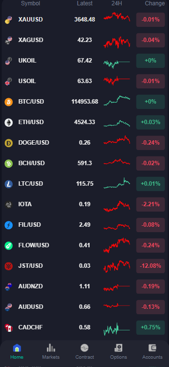 Imagem da captura de tela
